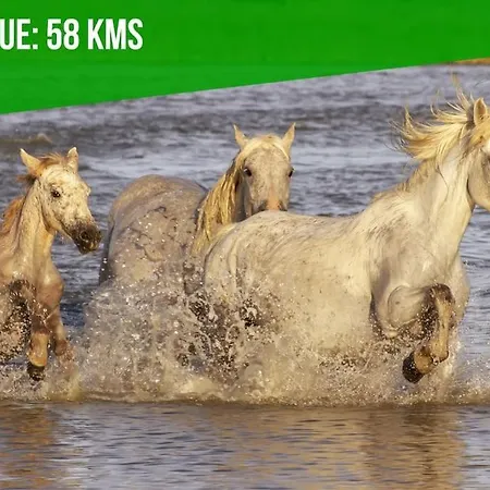 Appartamento Les Arches - Belle Decoration - Wifi - Ac Clim Villeneuve-lès-Avignon