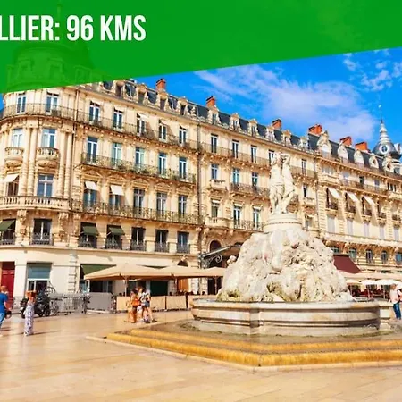Les Arches - Belle Decoration - Wifi - Ac Clim Apartment Villeneuve-les-Avignon